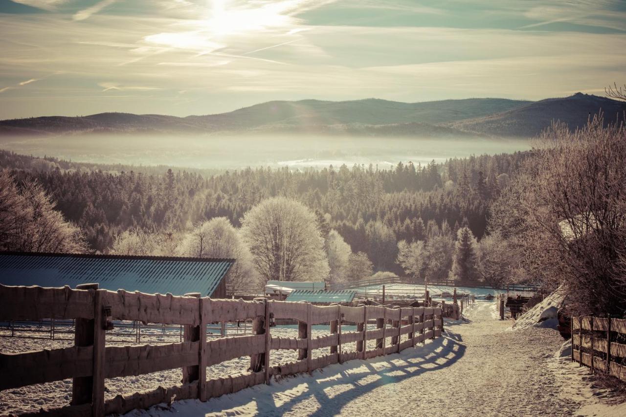 Landhotel Zum Matthiasl Bischofsreut ภายนอก รูปภาพ